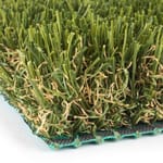 View SYNFescue Collection